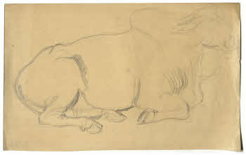 Visualizza l'immagine "FD D 142"